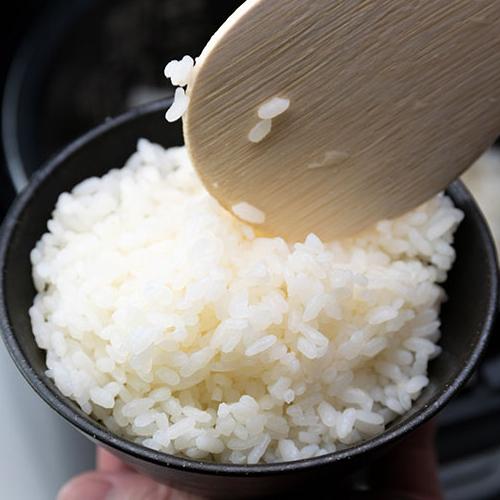 令和6年産新潟米コシヒカリ(減農薬減化学肥料米の特別栽培米)  30kg コシヒカリ 令和6年度産米 特別栽培米（減農薬・減化学肥料）新潟産