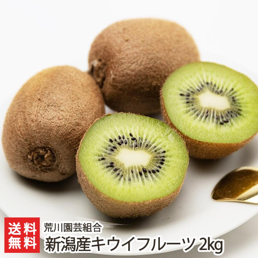 新潟県産キウイフルーツ 2kg 荒川園芸組合 送料無料 0481 001 01 新潟直送計画 通販 Yahoo ショッピング