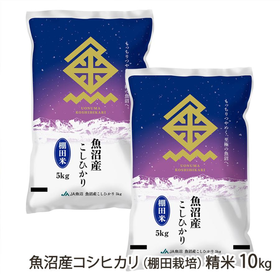 令和7年度新米】魚沼産コシヒカリ（棚田栽培）精米10kg（5kg×2袋）/JA