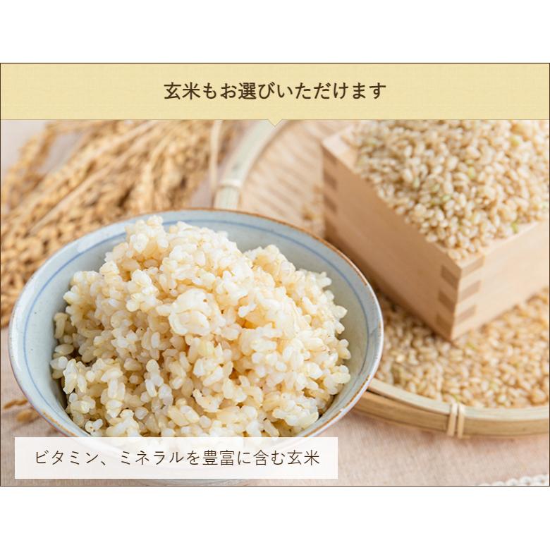 【令和5年度米】佐渡産ササニシキ 精米5kg・玄米5kg 高島農場/送料無料 父の日 お中元｜niigata-shop｜06