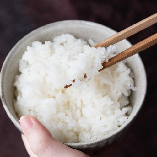 コシヒカリ 【令和7年度米】岩船産コシヒカリ 玄米4kg/農家民宿おく