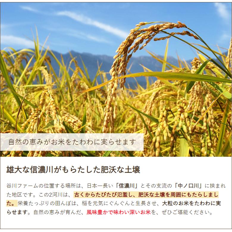 【令和5年度米】新潟産 にじのきらめき 無洗米10kg/谷川ファーム/送料無料 父の日 お中元｜niigata-shop｜04