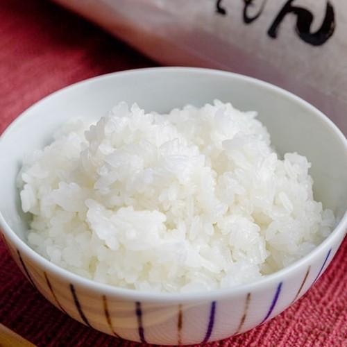 【令和7年度新米】新潟 佐渡産コシヒカリ 玄米5kg さどえもん/送料無料 | コシヒカリ | 01