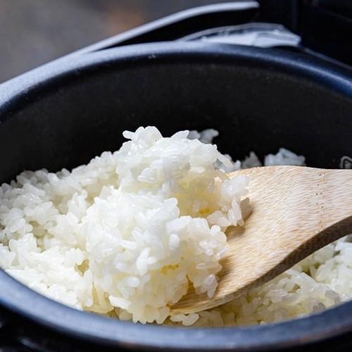 【令和7年度新米】新潟 佐渡産コシヒカリ 玄米20kg（5kg×4）さどえもん/送料無料 | コシヒカリ | 02