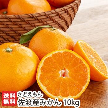 佐渡産みかん 10kg/さどえもん/送料無料 | 