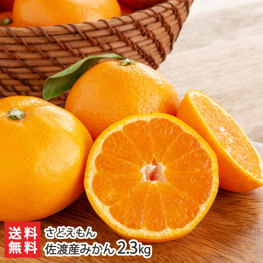 佐渡産みかん 2.3kg/さどえもん/代引不可/送料無料 | 