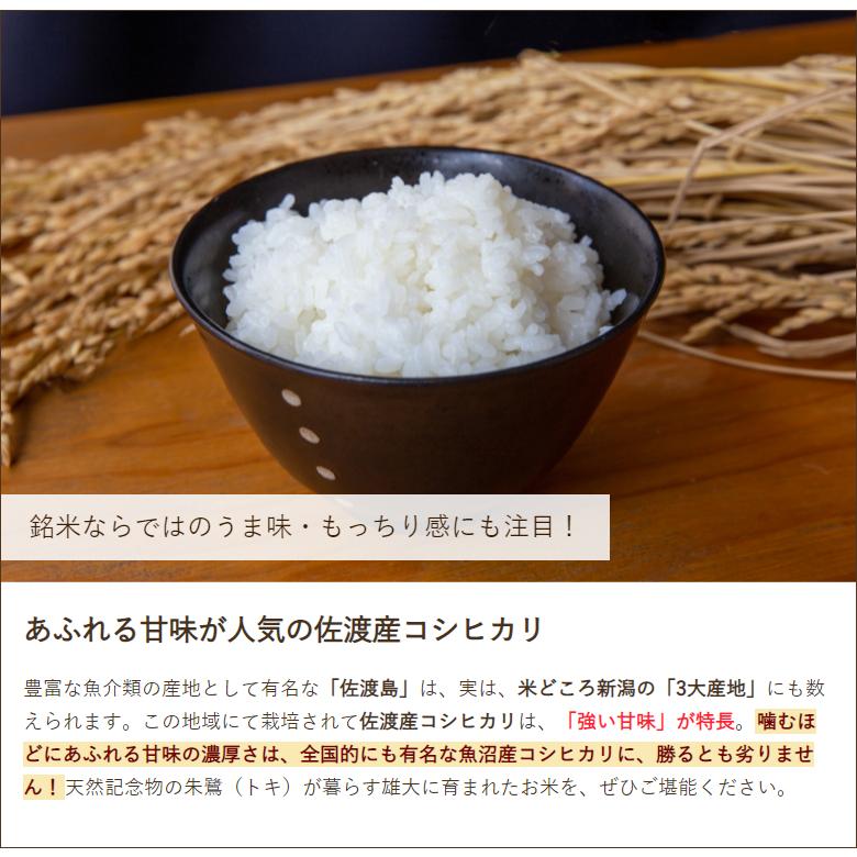 令和7年度米】佐渡産 コシヒカリ 精米10kg（5kg×2）新潟農商/のし無料