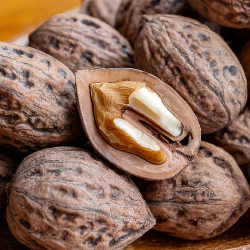 魚沼産 鬼クルミ（殻付）5kg（内容量：約500個）/岡村商店/国産/のし