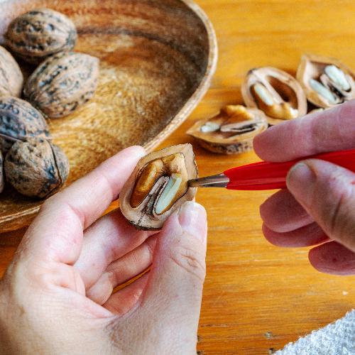 魚沼産 鬼クルミ（殻付）5kg（内容量：約500個）/岡村商店/国産/のし