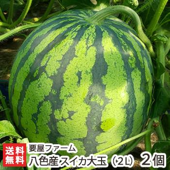 新潟 南魚沼産 八色産スイカ 大玉（2L）2玉/すいか 西瓜/要屋ファーム