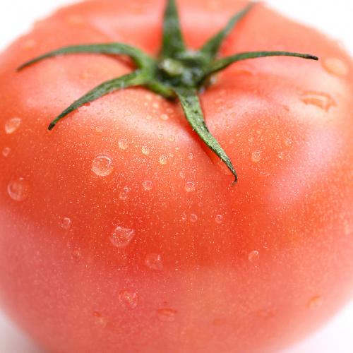 新潟産トマト「りんか409」2kg/近藤菜園/送料無料｜niigata-shop｜04