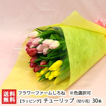 ラッピング チューリップ 切り花 30本入 代金引換 Np後払い不可 送料無料 0619 001 07 新潟直送計画 通販 Yahoo ショッピング