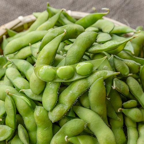 新潟産 枝豆 早生品種 1kg/えだまめ/久保農園/送料無料 : 新潟直送計画