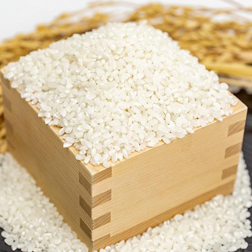 コシヒカリ 【令和7年度米】 新潟産コシヒカリ 精米10kg（5kg×2）久保