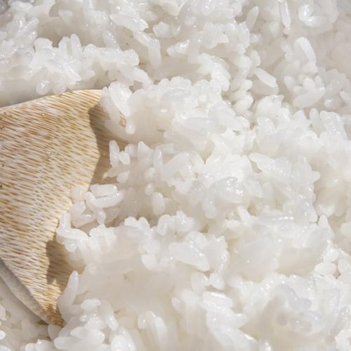 コシヒカリ 【令和7年度米】 新潟産コシヒカリ 精米25kg 久保農園/送料