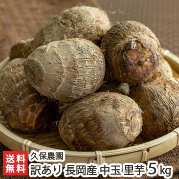 訳あり 長岡産 里芋 中玉 5kg 久保農園 送料無料 0641 003 41 新潟直送計画 通販 Yahoo ショッピング