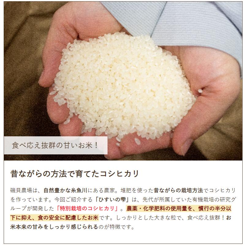 コシヒカリ 令和6年度産米 特別栽培米（減農薬・減化学肥料）新潟産 