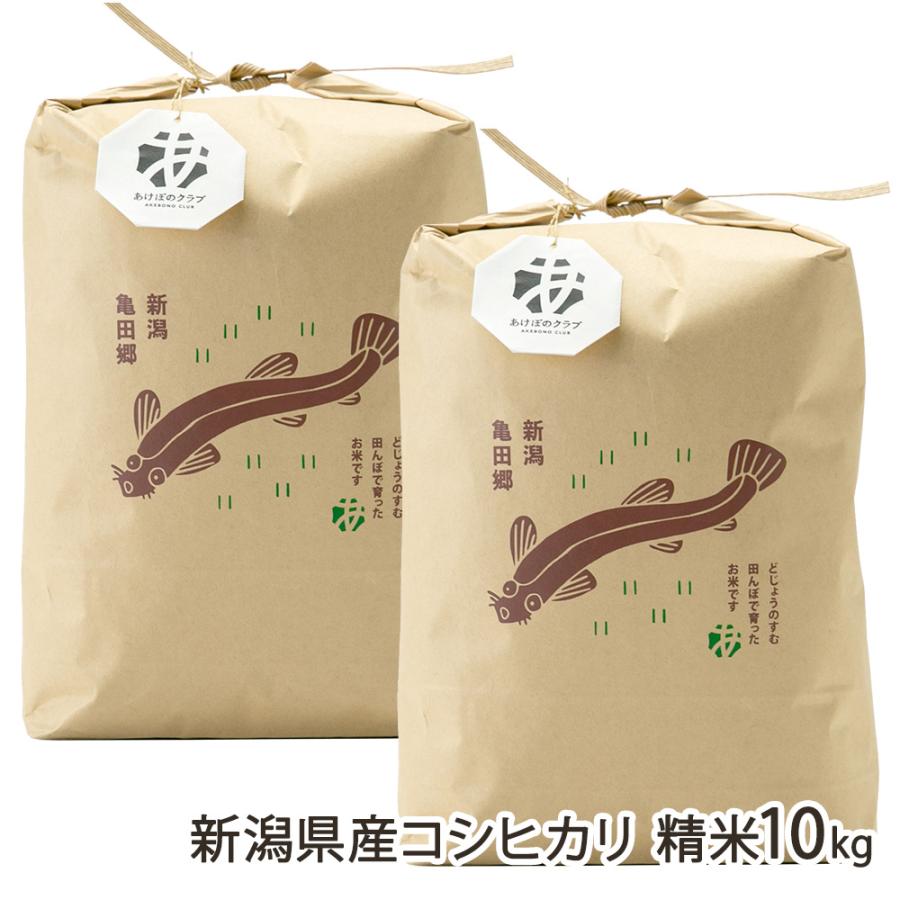 令和7年度米】新潟県産コシヒカリ 精米10kg（5kg×2袋）/あけぼのクラブ