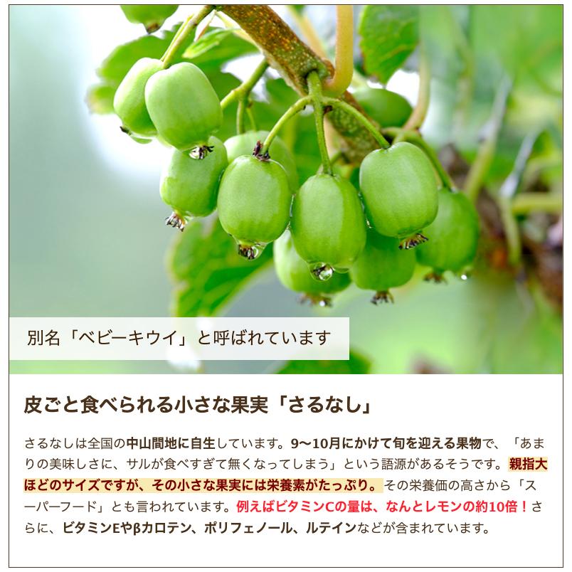 さと雪のさるなし果実ジャム 3本入り/株式会社のうランド/送料無料 |  | 03