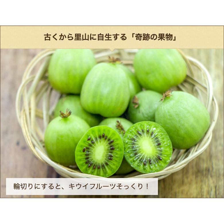 さと雪のさるなし果実ジャム 3本入り/株式会社のうランド/送料無料 |  | 05