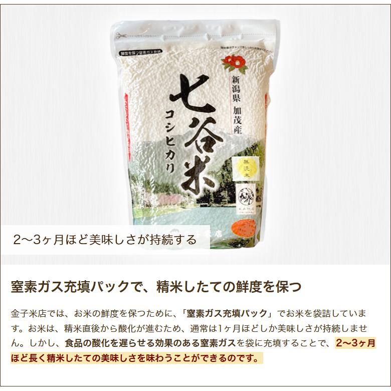 コシヒカリ 令和6年度産米 新潟産コシヒカリ「七谷米」（従来