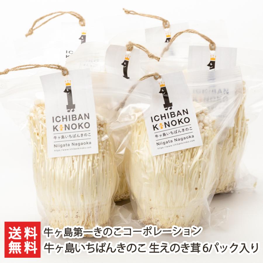 11周年記念イベントが 牛ヶ島いちばんきのこ 生えのき茸 6パック入 牛ヶ島第一きのこコーポレーション 送料無料 Quran Unv Edu Sd