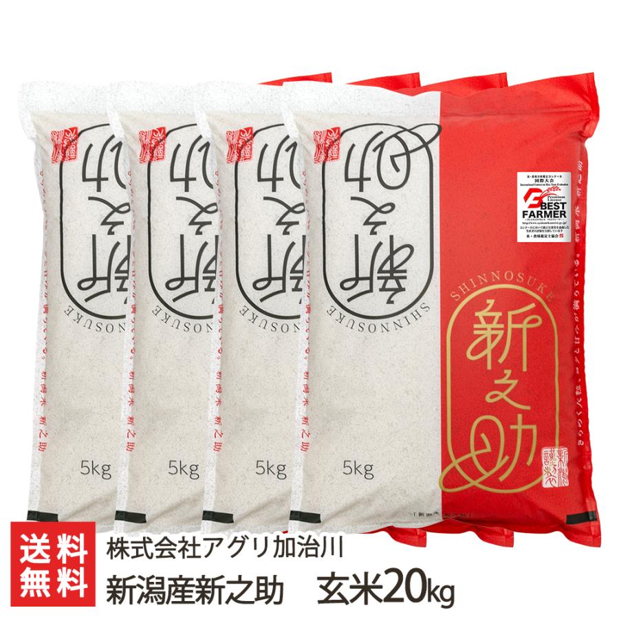 令和7年(新米)新潟県産の【新之助】玄米20Kg 新之助（しんのすけ） 【令和7年度米】 新潟産 玄米20kg/株式会社