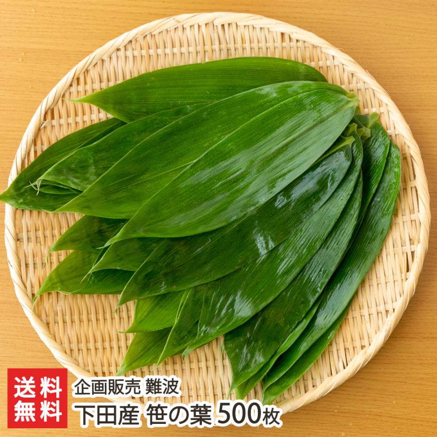 下田産 笹の葉 500枚/企画販売 難波/送料無料