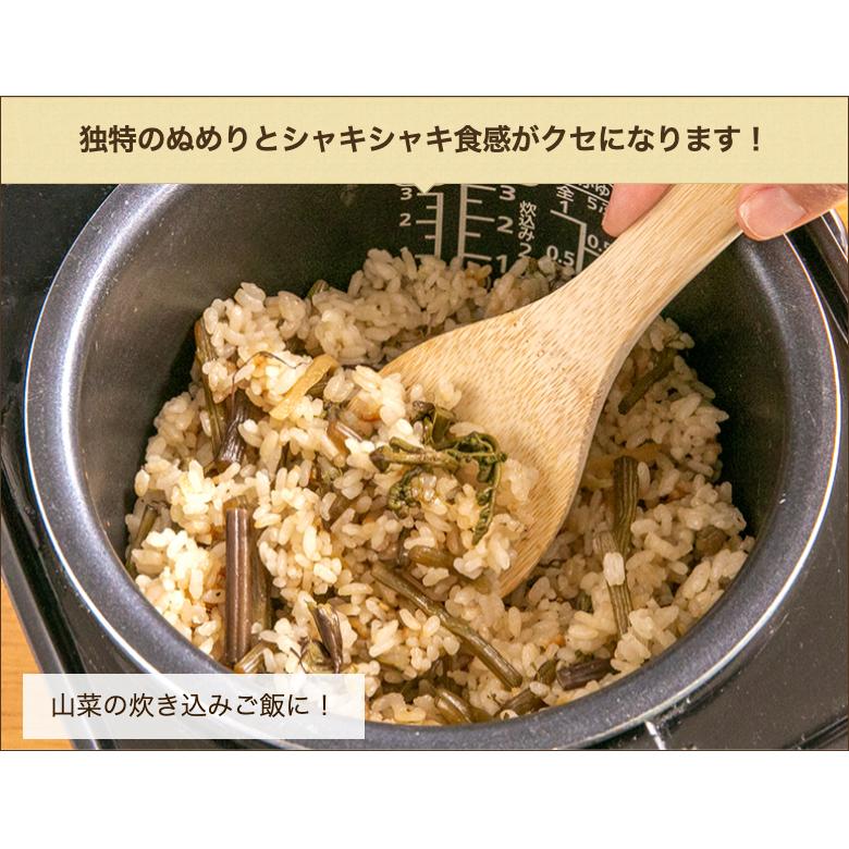新潟県産 塩漬けワラビ 400g（200g×2パック）/企画販売 難波/送料無料