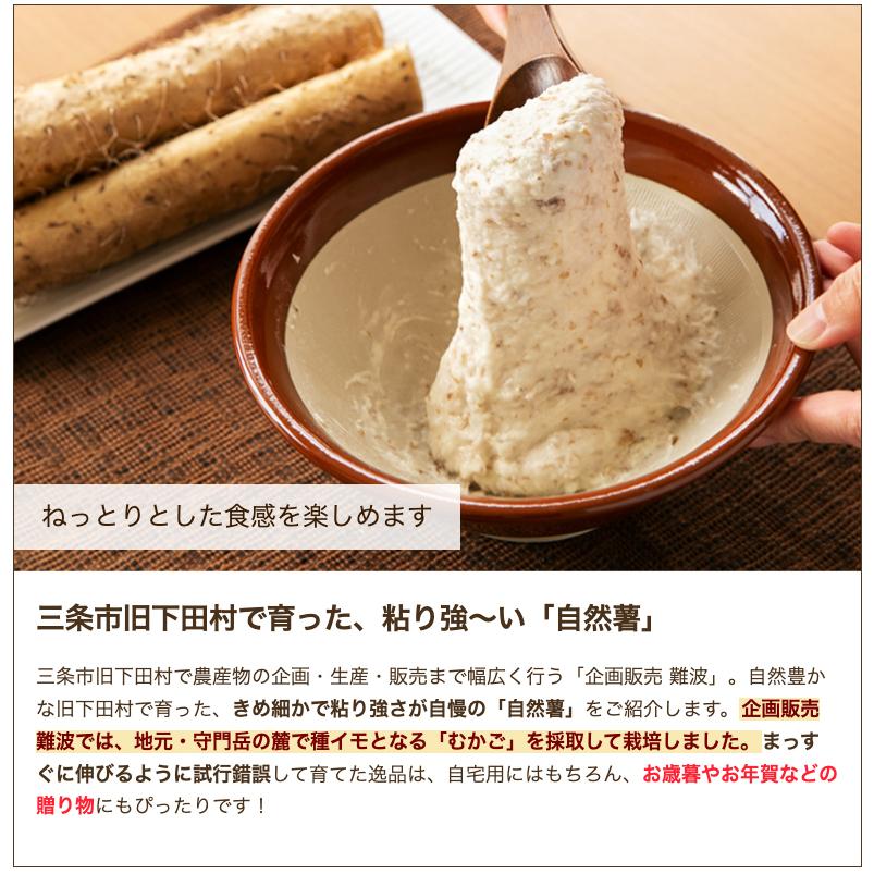 新潟県産 自然薯 1本（竹筒入り・1本あたり700g以上）/企画販売 難波