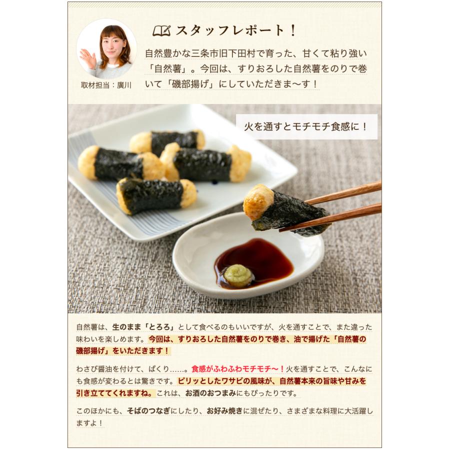新潟県産 自然薯 カットパック 1パック入り（真空パック包装・1パック