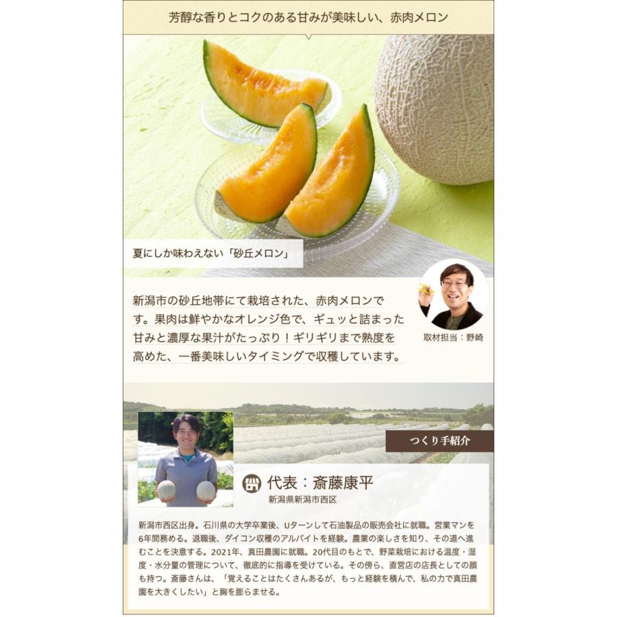 新潟県産 赤肉メロン 3Lサイズ 4玉入/真田農園/代金引換決済不可/送料