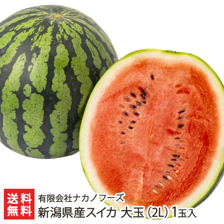 新潟県産スイカ 大玉（2L）1玉入り/有限会社ナカノフーズ/送料無料 
