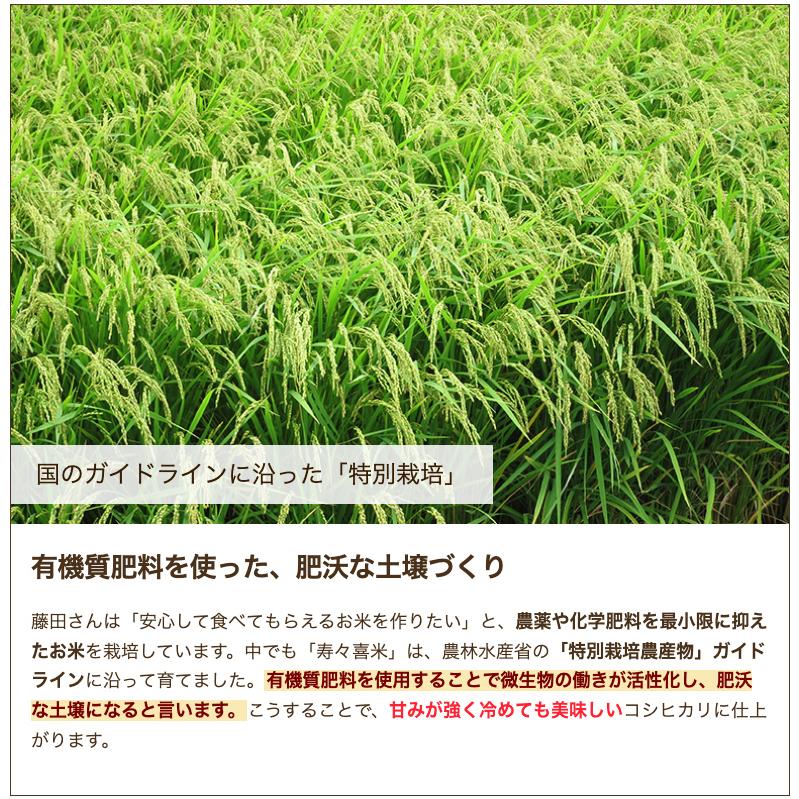 【令和7年度米】新潟県産 コシヒカリ「寿々喜米」精米10kg（5kg×2袋）/ 藤田農園（藤田一雄）/送料無料_3