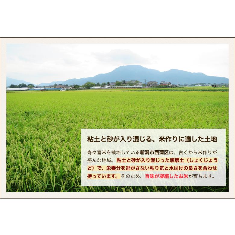 【令和7年度米】新潟県産 コシヒカリ「寿々喜米」精米10kg（5kg×2袋）/ 藤田農園（藤田一雄）/送料無料_4
