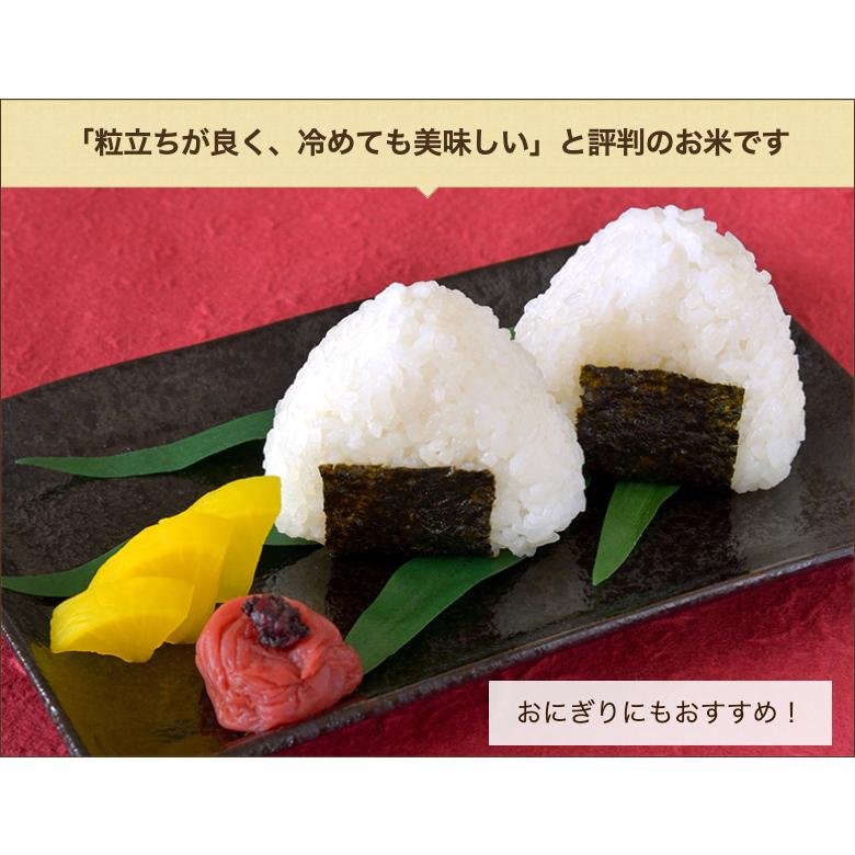 【令和7年度米】新潟県産 コシヒカリ「寿々喜米」精米10kg（5kg×2袋）/ 藤田農園（藤田一雄）/送料無料_5