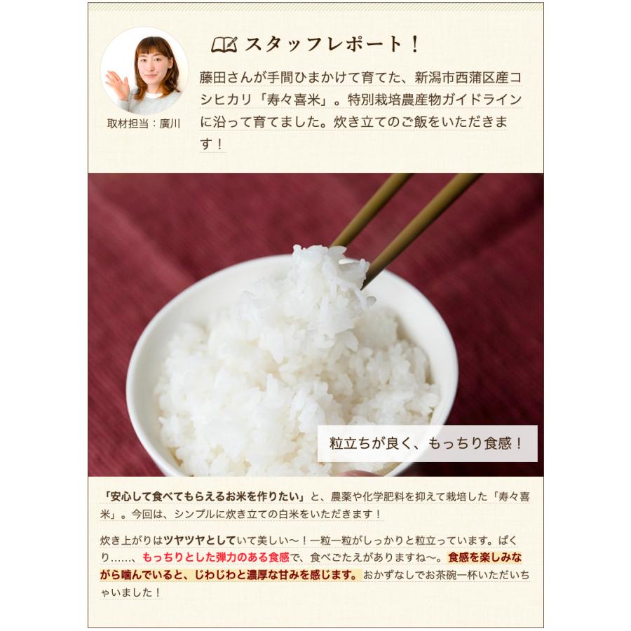 【令和7年度米】新潟県産 コシヒカリ「寿々喜米」精米10kg（5kg×2袋）/ 藤田農園（藤田一雄）/送料無料_6