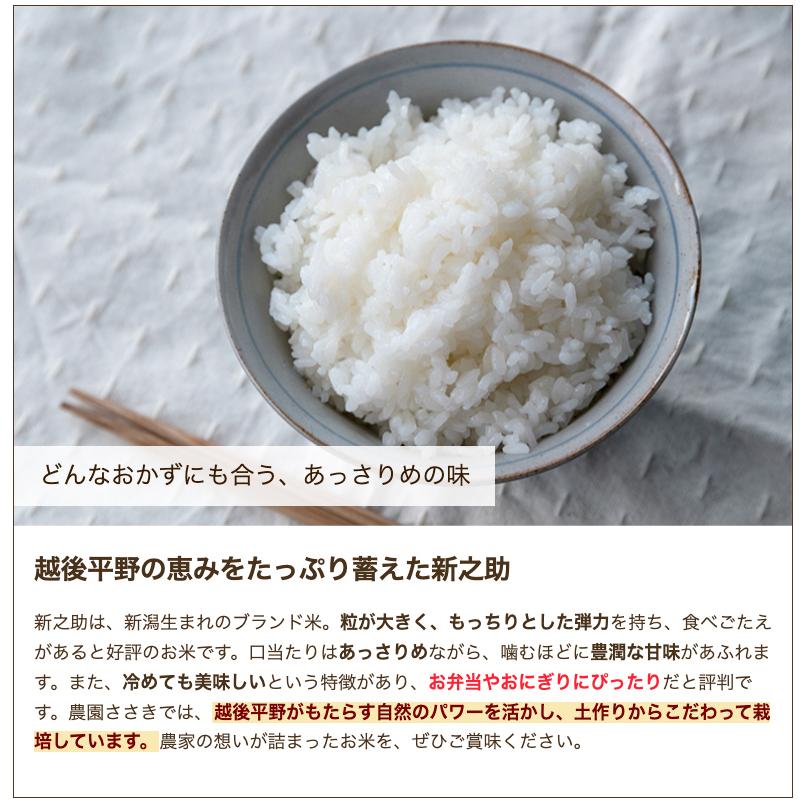 新之助 令和6年度産米 新潟県産 新潟米HAPPY新之助 精米20kg