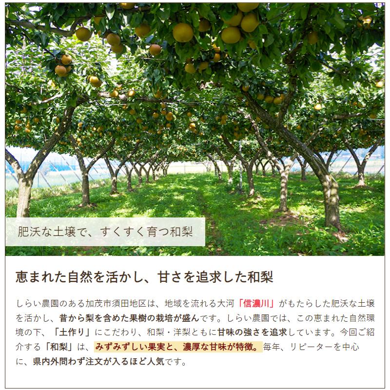 【差し上げる用】豊水 10kg（16〜36玉）/しらい栽培所/貨物輸送無料