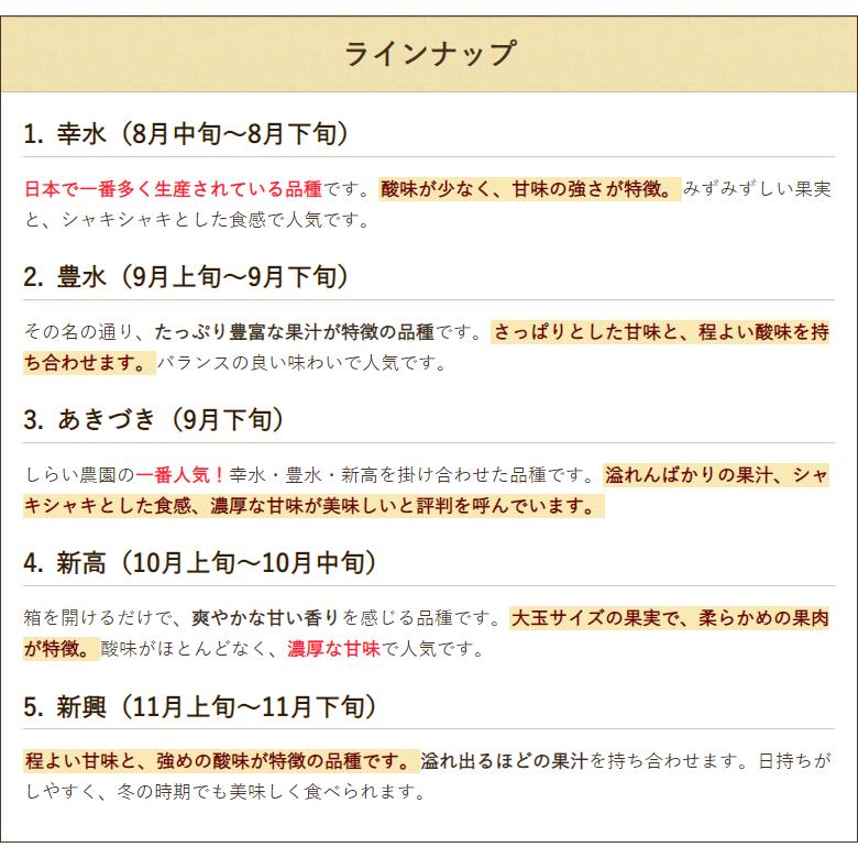 【贈答用】新興 5kg（6〜16玉）/しらい農園/送料無料 父の日 お中元｜niigata-shop｜05