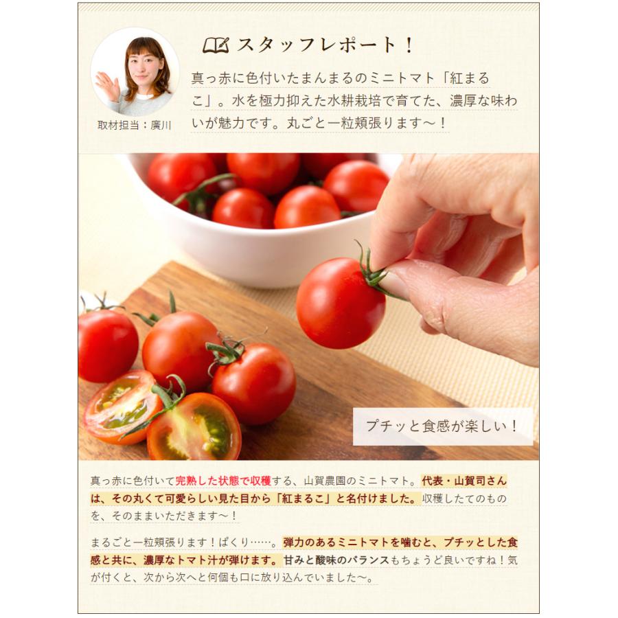 新潟県産 ミニトマト「紅まるこ」1kg/山賀農園/代金引換決済不可/送料 