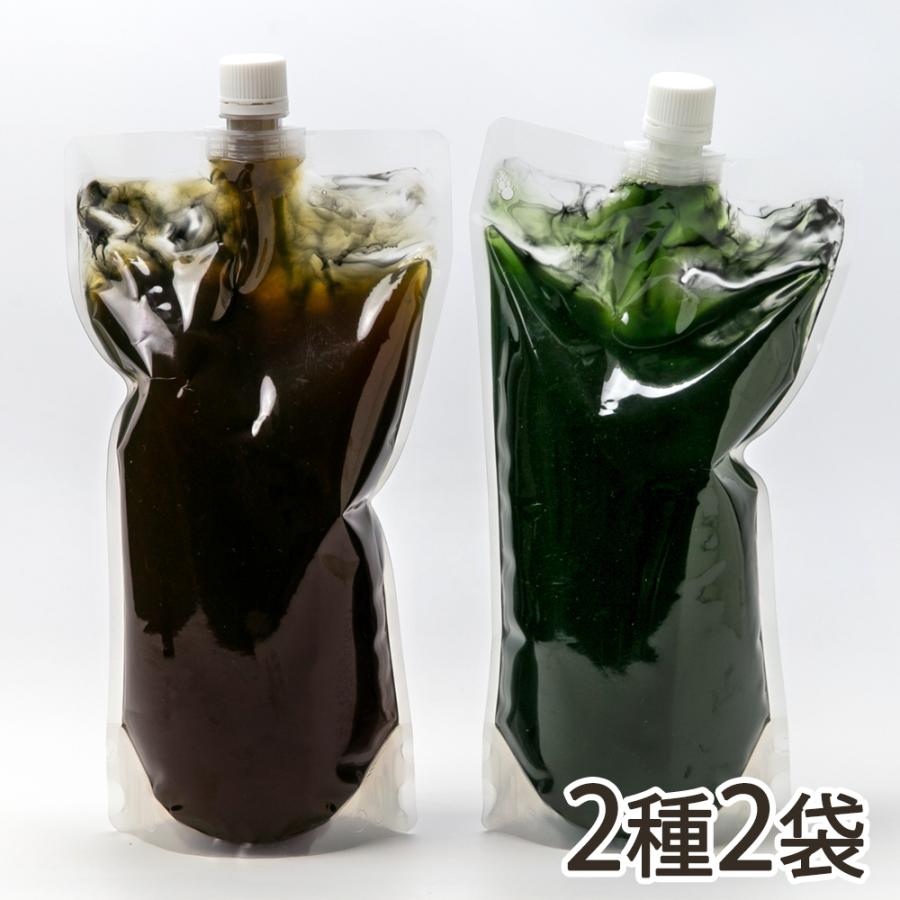燕三条鉄クラフトシロップ 大 2種2袋（鉄コーラ、鉄メロンソーダ 各1袋