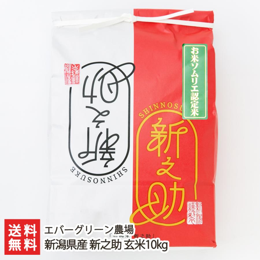新潟米　新之助玄米10kg 新之助（しんのすけ） 【令和7年度米】新潟県産新之助 玄米10kg（5kg×2