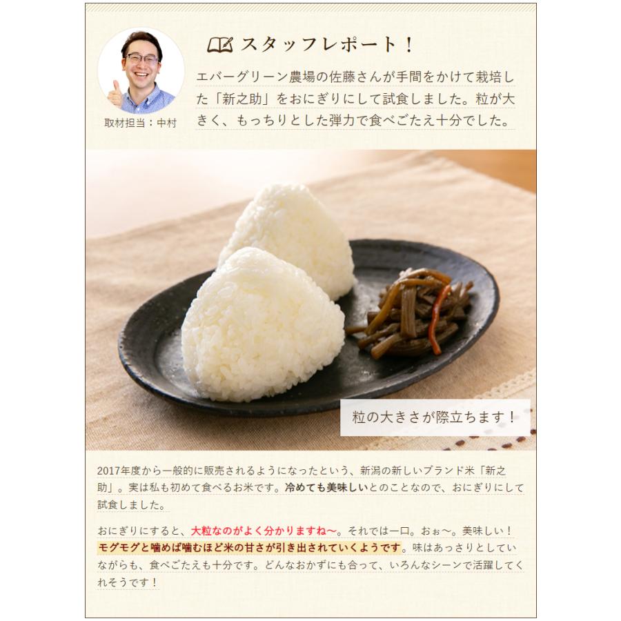 新之助（しんのすけ） 【令和7年度米】新潟県産新之助 玄米10kg（5kg×2