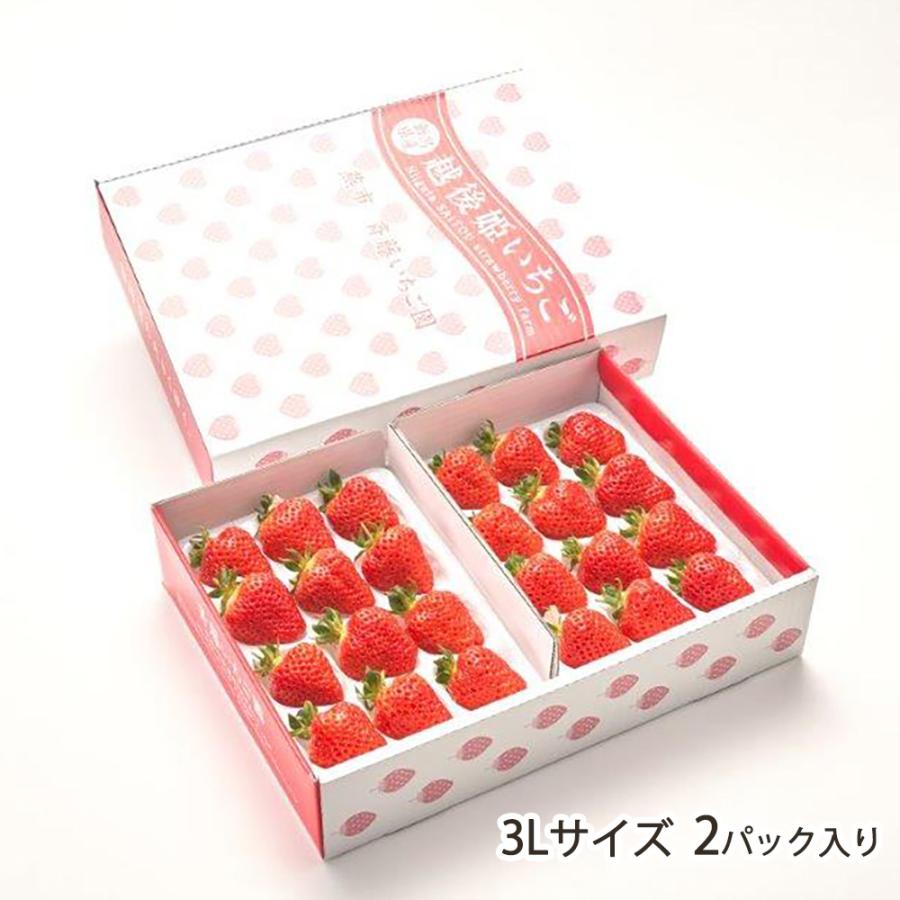 越後姫 3Lサイズ 2パック入り/斉藤いちご園/送料無料 : 新潟直送計画