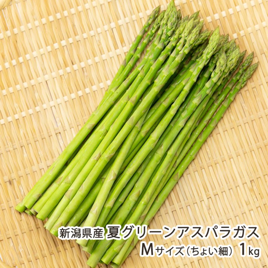 新潟県産 夏グリーンアスパラガス Mサイズ（ちょい細）1kg /飯塚農園