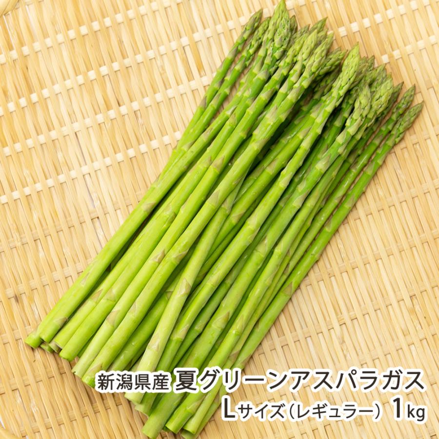 新潟県産 夏グリーンアスパラガス Lサイズ（レギュラー）1kg /飯塚農園