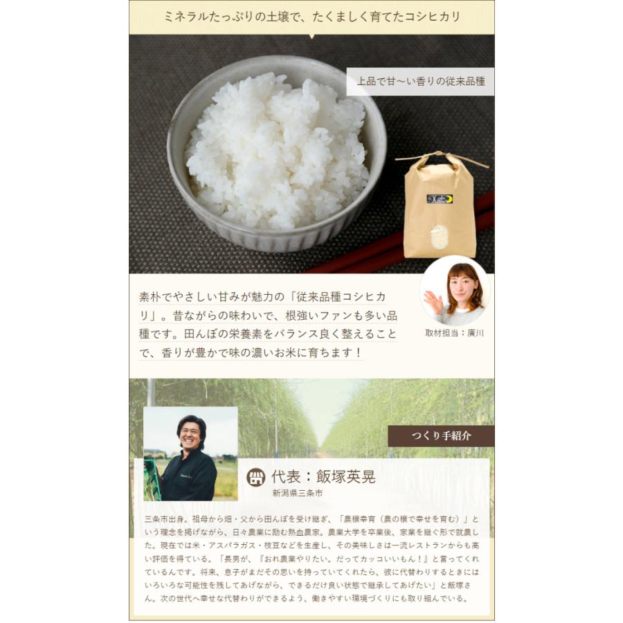 コシヒカリ 【令和7年度米】新潟県産コシヒカリ（従来品種）精米10kg