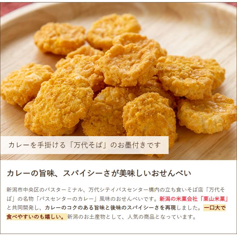 バスセンターのカレーせんべい 4パック入り/新潟交通商事/後払い バスセンターのカレーせんべい 4パック入り/新潟交通商事/後払い