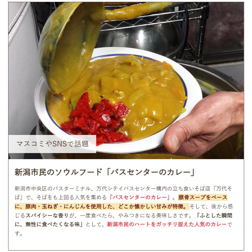 バスセンターのカレーせんべい 4パック入り/新潟交通商事/後払い バスセンターのカレーせんべい 4パック入り/新潟交通商事/後払い